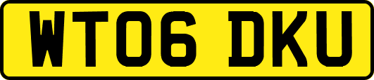 WT06DKU