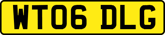WT06DLG