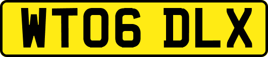 WT06DLX