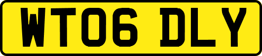 WT06DLY