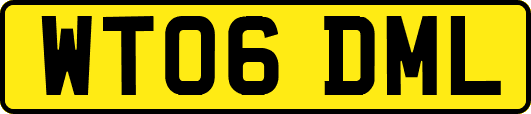 WT06DML