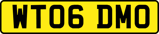 WT06DMO