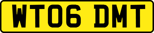 WT06DMT