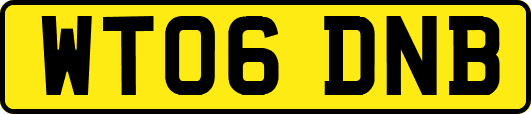 WT06DNB
