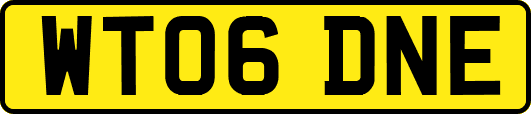 WT06DNE