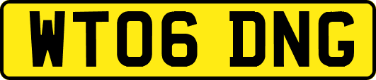WT06DNG