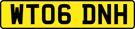WT06DNH
