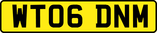 WT06DNM