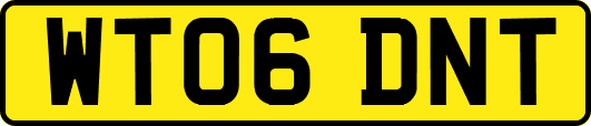 WT06DNT