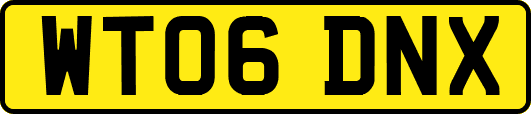 WT06DNX