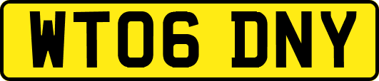 WT06DNY
