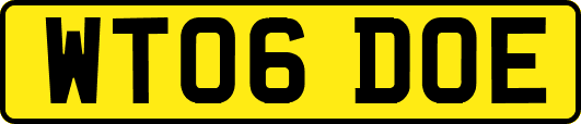 WT06DOE