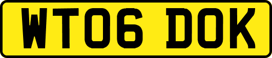 WT06DOK