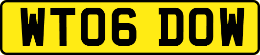 WT06DOW