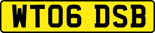 WT06DSB