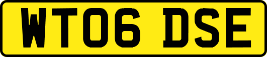 WT06DSE