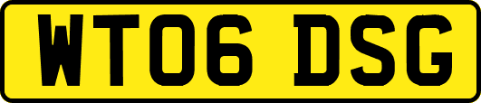 WT06DSG