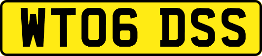 WT06DSS