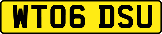 WT06DSU