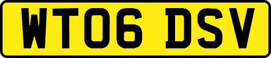 WT06DSV