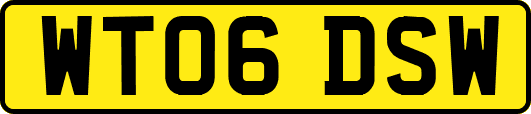 WT06DSW