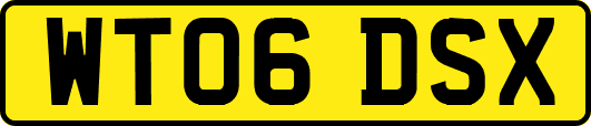 WT06DSX