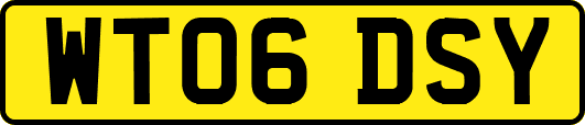 WT06DSY