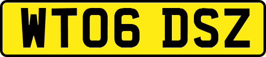 WT06DSZ