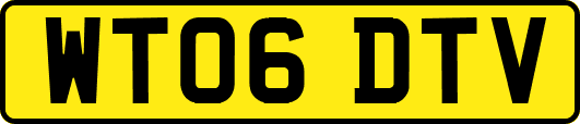 WT06DTV