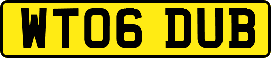 WT06DUB