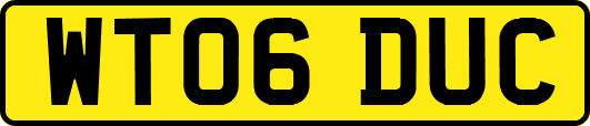 WT06DUC