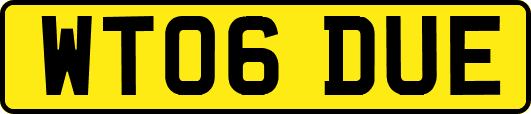 WT06DUE