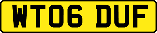 WT06DUF
