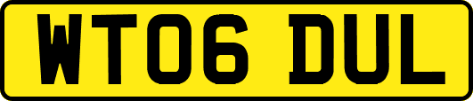 WT06DUL