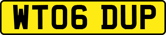 WT06DUP