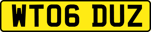 WT06DUZ