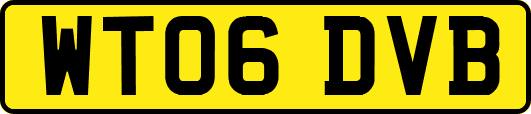 WT06DVB