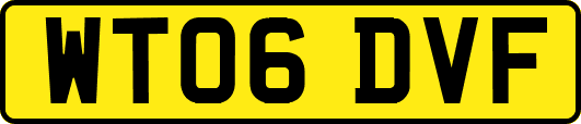 WT06DVF