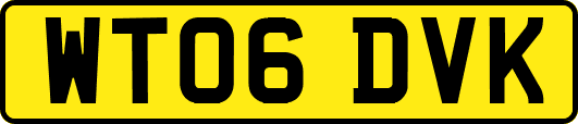 WT06DVK