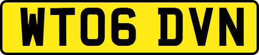WT06DVN