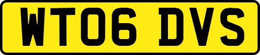 WT06DVS