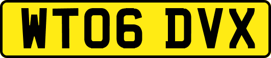 WT06DVX