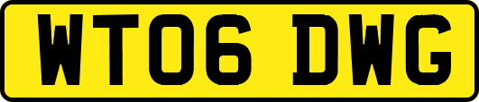 WT06DWG