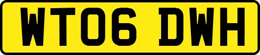 WT06DWH