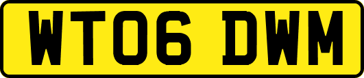 WT06DWM