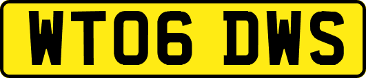 WT06DWS