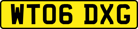 WT06DXG