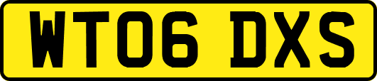 WT06DXS