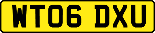 WT06DXU