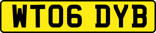 WT06DYB